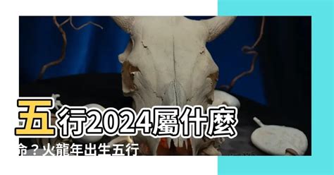 2024五行屬什麼|2024龍年行大運 